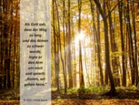 ein Bild aus dem Album