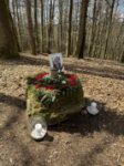 ein Bild aus dem Album
