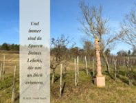 ein Bild aus dem Album