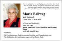 eine Anzeige